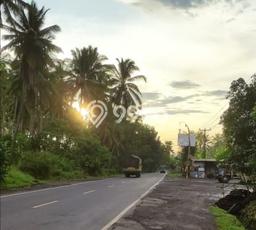 Tanah Kavling untuk Dijual di Pekutatan Jembrana 2800m2 Tanah Kavling untuk Dijual di Pekutatan Jembrana 2800m2
