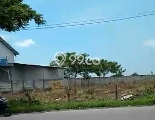 Tanah Area Berkembang Kawasan Widang, Luas 40000m², Dekat ke Fasilitas, Lingkungan Asri Tanah Area Berkembang Kawasan Widang, Luas 40000m², Dekat ke Fasilitas, Lingkungan Asri