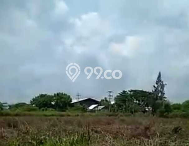 Tanah Area Berkembang Kawasan Widang, Luas 40000m², Dekat ke Fasilitas, Lingkungan Asri Tanah Area Berkembang Kawasan Widang, Luas 40000m², Dekat ke Fasilitas, Lingkungan Asri
