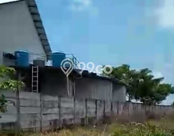 Tanah Area Berkembang Kawasan Widang, Luas 40000m², Dekat ke Fasilitas, Lingkungan Asri Tanah Area Berkembang Kawasan Widang, Luas 40000m², Dekat ke Fasilitas, Lingkungan Asri