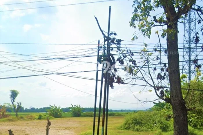 Tanah Dijual Lokasi Balen, Bojonegoro Luas 20000m2 Legalitas Aman Tanah Dijual Lokasi Balen, Bojonegoro Luas 20000m2 Legalitas Aman