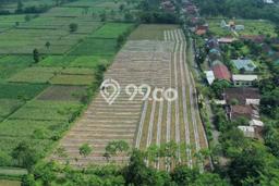 Tanah Strategis Dijual di Tempeh Lumajang 24147m2 Tanah Strategis Dijual di Tempeh Lumajang 24147m2