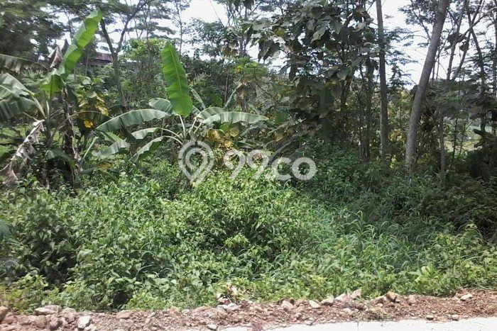 Tanah Kavling Dijual di Dawarblandong, Mojokerto dengan Luas Tanah 1475m2 Tanah Kavling Dijual di Dawarblandong, Mojokerto dengan Luas Tanah 1475m2