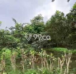 Jarang Ada! Tanah di Bumiaji Punya Luas 1411m2 SHM Jarang Ada! Tanah di Bumiaji Punya Luas 1411m2 SHM