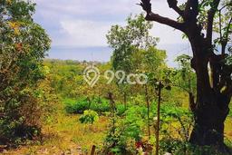 Tanah Dijual Lokasi Strategis di Klungkung dengan Luas 8520m2 Tanah Dijual Lokasi Strategis di Klungkung dengan Luas 8520m2