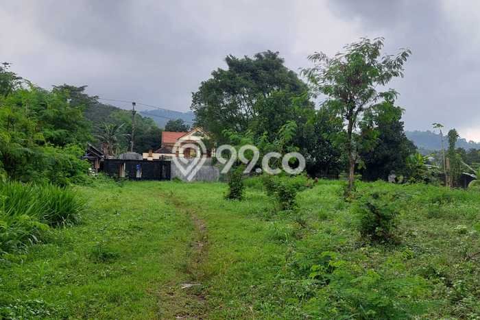 Lahan untuk Dijual di Prigen Pasuruan Luas 12300m2 Lahan untuk Dijual di Prigen Pasuruan Luas 12300m2