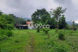Lahan untuk Dijual di Prigen Pasuruan Luas 12300m2 Lahan untuk Dijual di Prigen Pasuruan Luas 12300m2