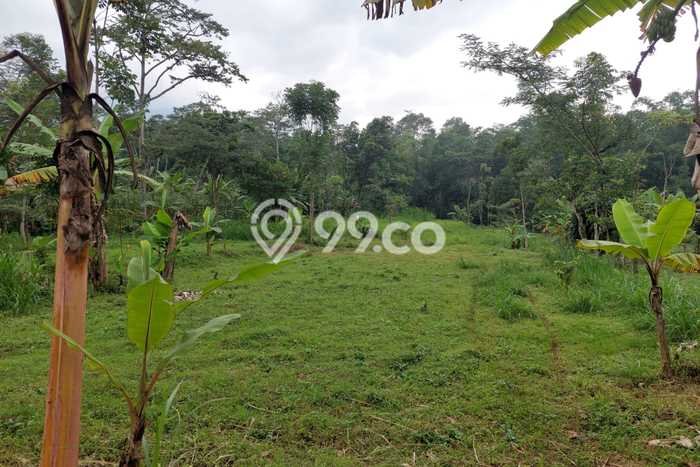 Lahan untuk Dijual di Prigen Pasuruan Luas 12300m2 Lahan untuk Dijual di Prigen Pasuruan Luas 12300m2