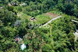 Tanah Dijual Lokasi Kerambitan, Tabanan Luas 116m2 Legalitas Aman Tanah Dijual Lokasi Kerambitan, Tabanan Luas 116m2 Legalitas Aman