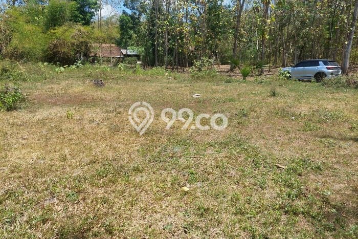 Jual Tanah di Sentolo, Luas 311m², Dekat Pusat Kota Jual Tanah di Sentolo, Luas 311m², Dekat Pusat Kota