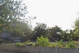 Tanah Dijual Lokasi Kuta, Badung Luas 2000m2 Legalitas Aman Tanah Dijual Lokasi Kuta, Badung Luas 2000m2 Legalitas Aman