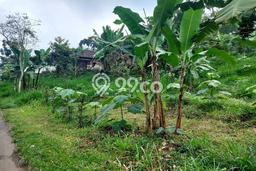 Lahan Kosong Dijual di Pasuruan dengan Area 9035m2 Lahan Kosong Dijual di Pasuruan dengan Area 9035m2