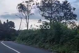 Tanah Dijual Lokasi Sukorejo Pasuruan SHM Tanah Dijual Lokasi Sukorejo Pasuruan SHM