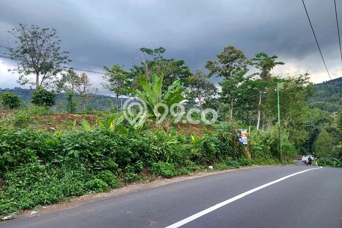 Tanah Dijual Lokasi Sukorejo Pasuruan SHM Tanah Dijual Lokasi Sukorejo Pasuruan SHM