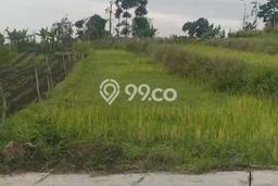 Jarang Ada! Tanah di Trawas Punya Luas 771m2 SHM Jarang Ada! Tanah di Trawas Punya Luas 771m2 SHM