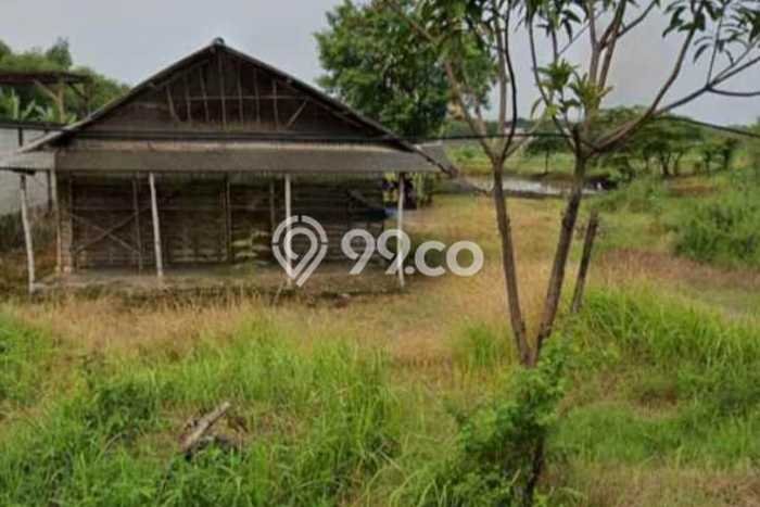 Tanah Dijual Lokasi Wringinanom, Gresik Luas 7250m2 Legalitas Aman Tanah Dijual Lokasi Wringinanom, Gresik Luas 7250m2 Legalitas Aman