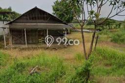 Tanah Dijual Lokasi Wringinanom, Gresik Luas 7250m2 Legalitas Aman Tanah Dijual Lokasi Wringinanom, Gresik Luas 7250m2 Legalitas Aman