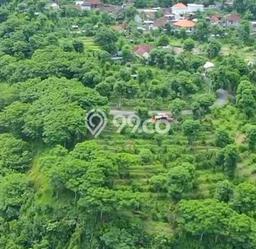 Tanah Komersial Dijual di Seraya Karangasem 690m2 Tanah Komersial Dijual di Seraya Karangasem 690m2