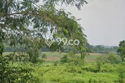 Jarang Ada! Tanah di Pacet Punya Luas 3365m2 - Jarang Ada! Tanah di Pacet Punya Luas 3365m2 -