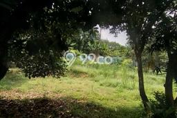 Lahan Kosong Dijual di Cinere, Depok, Luas 234m2 Area Strategis Lahan Kosong Dijual di Cinere, Depok, Luas 234m2 Area Strategis