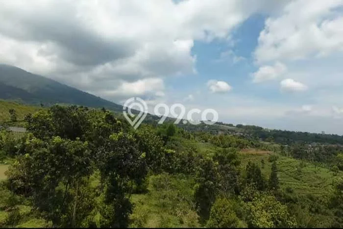 Tanah Kosong Dijual di Bogor dengan Area 35000m2 Tanah Kosong Dijual di Bogor dengan Area 35000m2