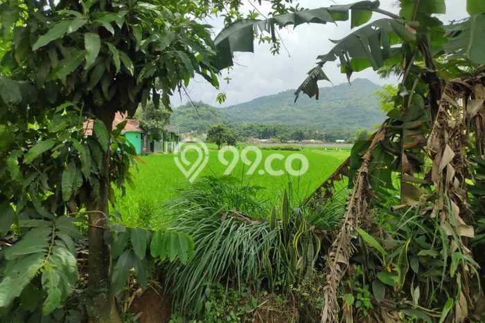 Lahan untuk Dijual di Baleendah Bandung Luas 3220m2 Lahan untuk Dijual di Baleendah Bandung Luas 3220m2