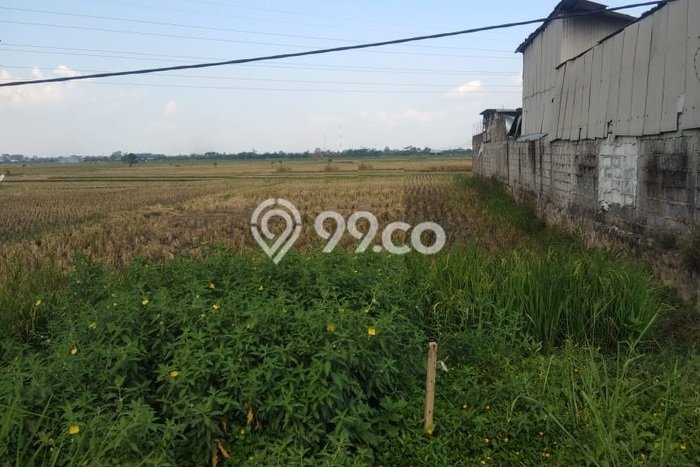 Tanah Dijual Lokasi Soreang, Bandung Luas 710m2 Legalitas Aman Tanah Dijual Lokasi Soreang, Bandung Luas 710m2 Legalitas Aman