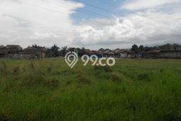 Tanah Area Berkembang di Katapang, Luas 5774m2m², Lingkungan Asri, Dekat Katapang, Bandung, Bandung Tanah Area Berkembang di Katapang, Luas 5774m2m², Lingkungan Asri, Dekat Katapang, Bandung, Bandung