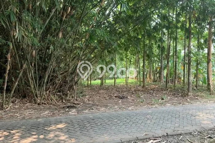 Tanah Kavling untuk Dijual di Tigaraksa Tangerang 1920m2 Tanah Kavling untuk Dijual di Tigaraksa Tangerang 1920m2