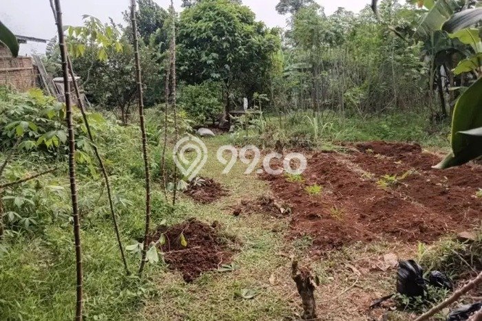 Tanah Dijual Lokasi Tangerang, Tangerang dengan Luas Tanah 2654m2 dan Status SHM Tanah Dijual Lokasi Tangerang, Tangerang dengan Luas Tanah 2654m2 dan Status SHM