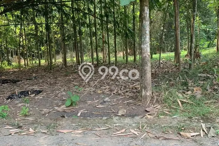Tanah Kavling untuk Dijual di Tigaraksa Tangerang 1920m2 Tanah Kavling untuk Dijual di Tigaraksa Tangerang 1920m2