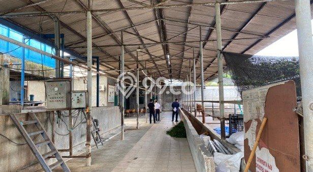Unit Gudang Dijual di Cibodas Tangerang Luas Tanah 5375m2, Luas Bangunan 1748m2 Unit Gudang Dijual di Cibodas Tangerang Luas Tanah 5375m2, Luas Bangunan 1748m2