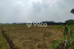 Lahan Strategis di Mojosari Dijual dengan Luas 70000m2 Lahan Strategis di Mojosari Dijual dengan Luas 70000m2