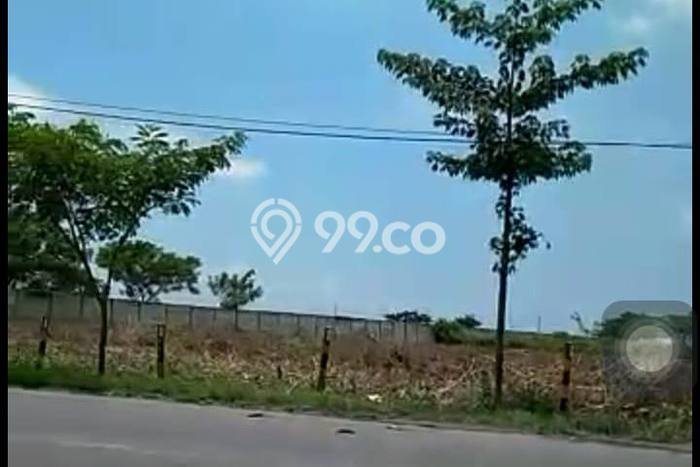 Lahan untuk Dijual di Widang Tuban Luas 40000m2 Lahan untuk Dijual di Widang Tuban Luas 40000m2