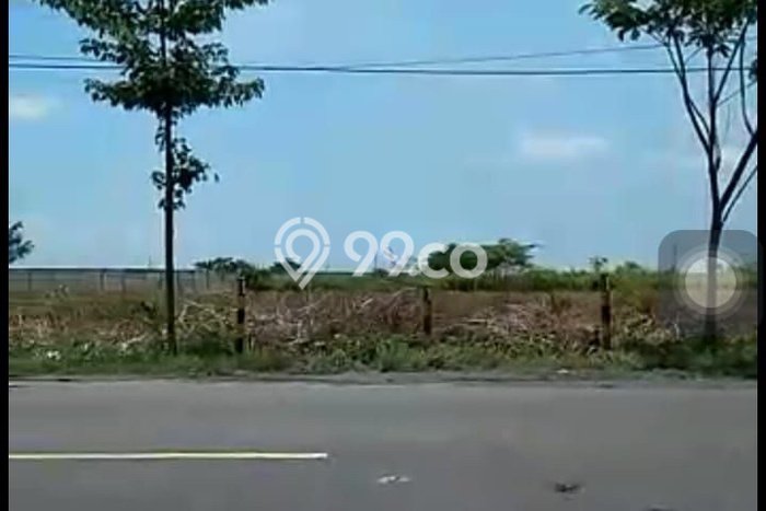 Dijual Tanah di Widang Tuban Luas 40000m2 SHM Dijual Tanah di Widang Tuban Luas 40000m2 SHM