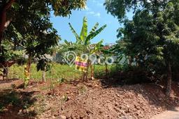 Kavling Tanah Dijual di Semarang Selatan Semarang Spesifikasi 432m2 Kavling Tanah Dijual di Semarang Selatan Semarang Spesifikasi 432m2