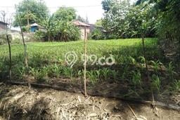 Kavling Tanah di Toroh Dijual Luas 2500m2 Legalitas SHM Kavling Tanah di Toroh Dijual Luas 2500m2 Legalitas SHM
