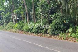 Kavling Tanah Dijual di Tingkir Salatiga Spesifikasi 96614m2 Kavling Tanah Dijual di Tingkir Salatiga Spesifikasi 96614m2