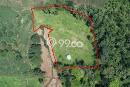 Tanah Komersial Dijual di Ungaran Timur Semarang 4840m2 Tanah Komersial Dijual di Ungaran Timur Semarang 4840m2