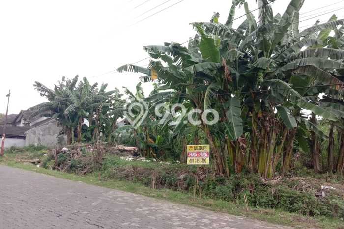 Tanah Disewa Strategis di Semarang Luas 1260m2 Tanah Disewa Strategis di Semarang Luas 1260m2