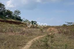 Tanah di Mojosongo, Boyolali Luas 50535m2 Dijual Segera Tanah di Mojosongo, Boyolali Luas 50535m2 Dijual Segera