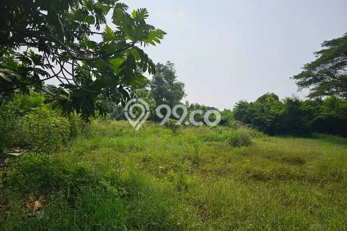 Lahan untuk Disewakan di Cipondoh Tangerang - Lahan untuk Disewakan di Cipondoh Tangerang -