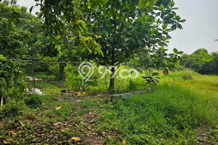 Disewakan Tanah Seluas 4800m2 di Cipondoh, Tangerang Disewakan Tanah Seluas 4800m2 di Cipondoh, Tangerang