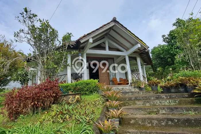 FOR SALE! Vila Kawasan Cipanas, Area 13000m2m², Dekat ke Pusat Kota FOR SALE! Vila Kawasan Cipanas, Area 13000m2m², Dekat ke Pusat Kota