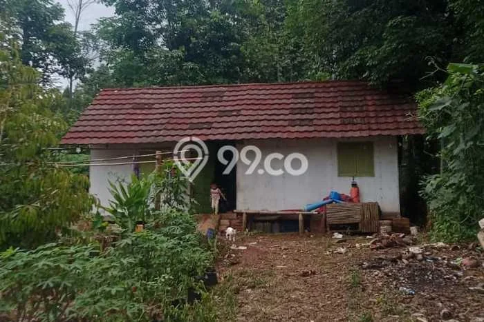 Kavling Tanah Dijual di Cianjur Cianjur Spesifikasi 3945m2 Kavling Tanah Dijual di Cianjur Cianjur Spesifikasi 3945m2