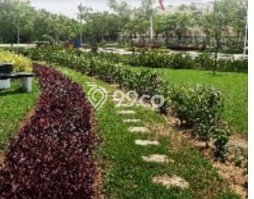 Jual Rumah Murah Meriah Parung Panjang Punya 2 Kamar & LT 70m2 Jual Rumah Murah Meriah Parung Panjang Punya 2 Kamar & LT 70m2