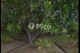 Dijual Tanah 899m2 di Pantai Indah Kapuk, Jakarta Utara Dijual Tanah 899m2 di Pantai Indah Kapuk, Jakarta Utara