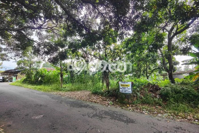 Tanah untuk Dijual di Prigen Pasuruan Luas 12500m2 Tanah untuk Dijual di Prigen Pasuruan Luas 12500m2