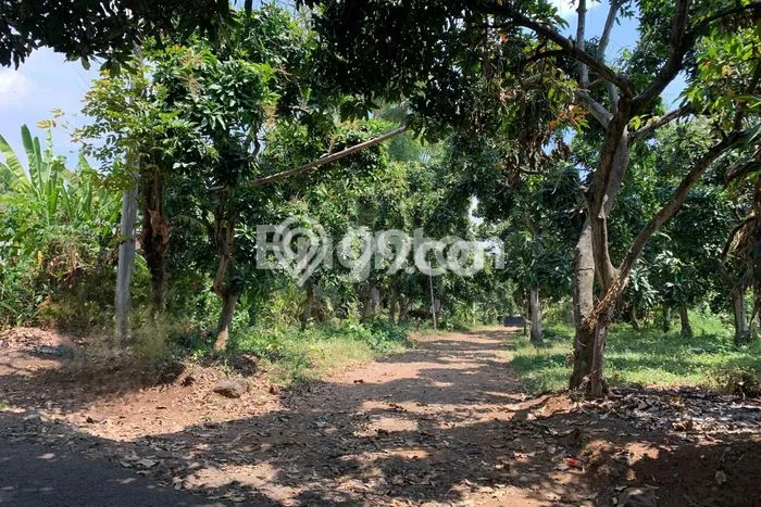 Tanah untuk Dijual di Prigen Pasuruan Luas 12500m2 Tanah untuk Dijual di Prigen Pasuruan Luas 12500m2