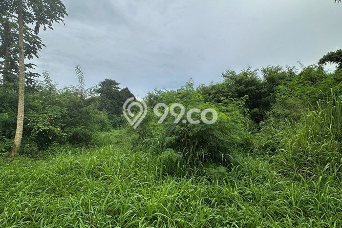 Tanah Kavling Dijual di Jakarta Selatan dengan Spesifikasi 2035m2 Tanah Kavling Dijual di Jakarta Selatan dengan Spesifikasi 2035m2